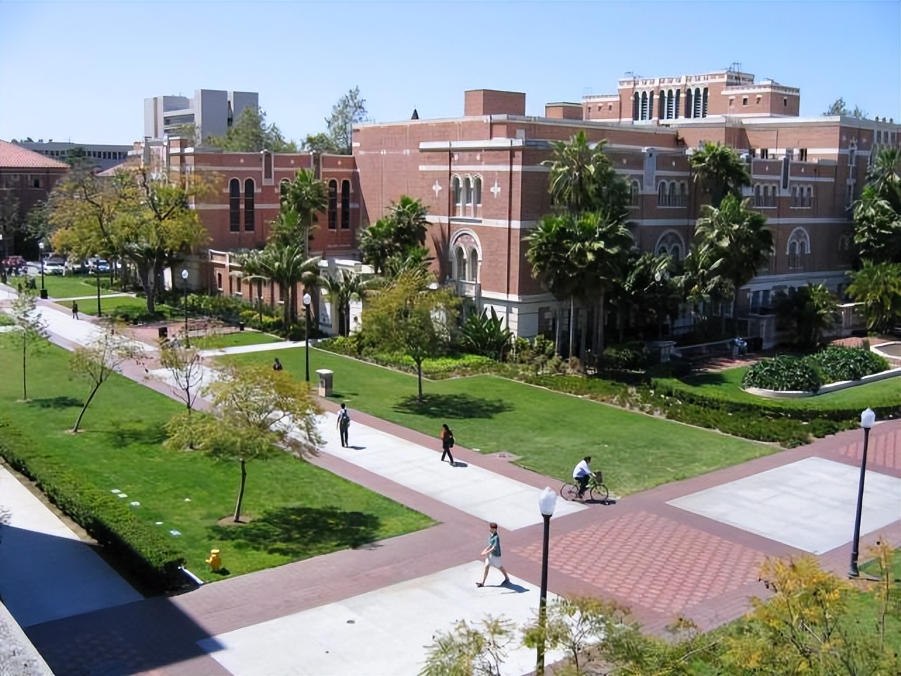 除了钱和中国人，赢在起跑线上的“网红大校”南加大还有什么？