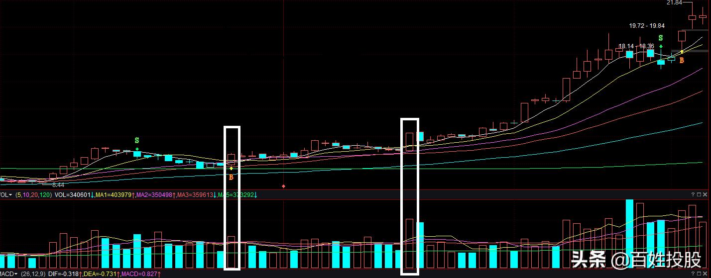 「专题学习」第13期：搞懂逻辑，就能高效选股