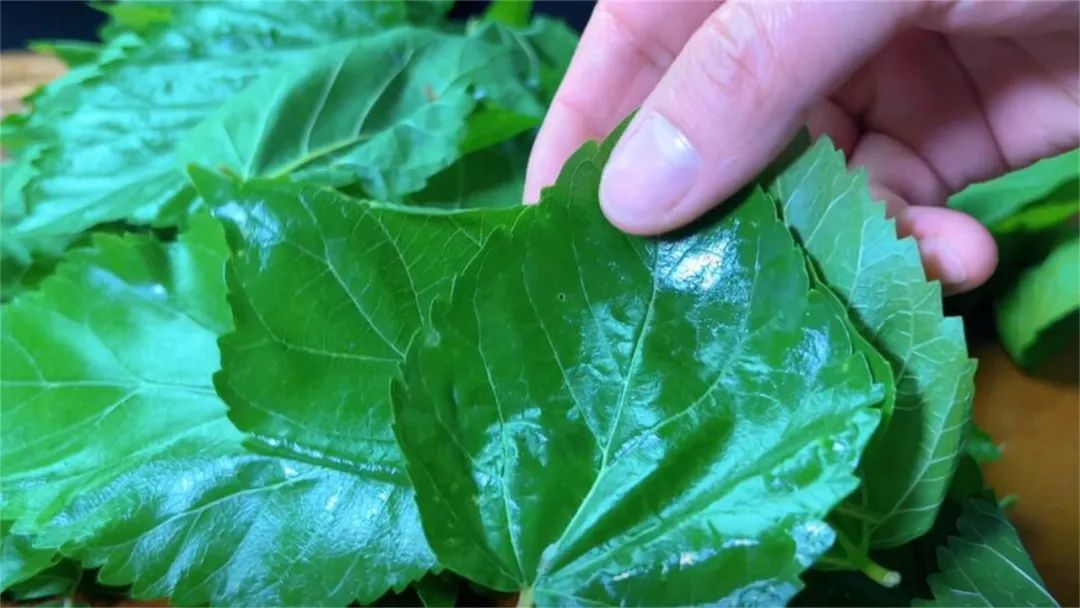 养肝明目不输蒲公英的食物,养肝吃蒲公英