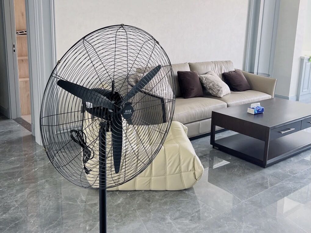 白醋可以去除家具的异味吗,屋内家具有异味怎么处理