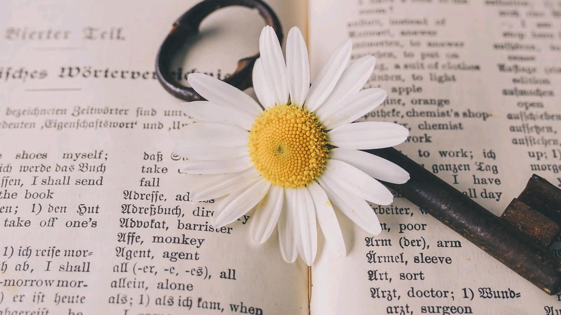 关于中国传统文化的英语表达,中国传统文化名词的英文表达