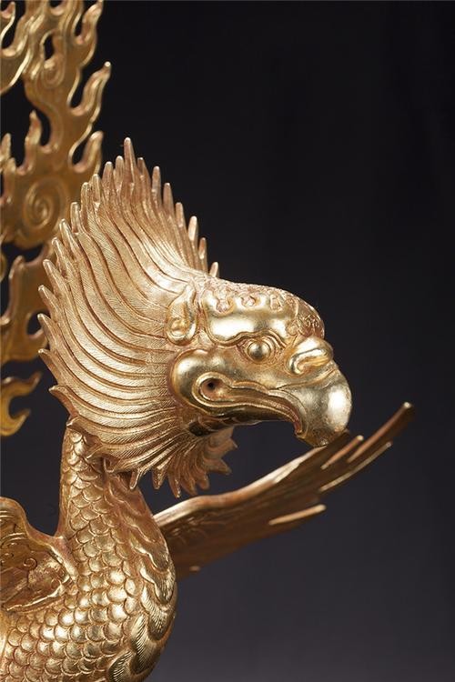 金翅鸟图像分析,金翅鸟视频大全