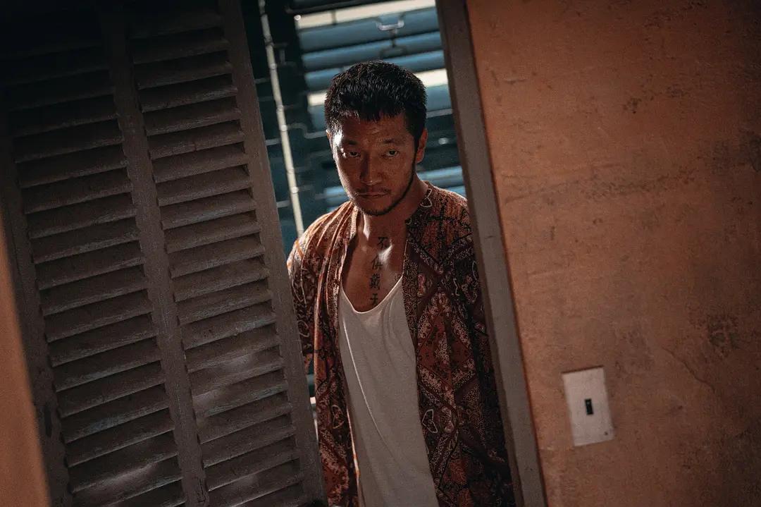 2022必看的动作片,2022年最精彩的动作片