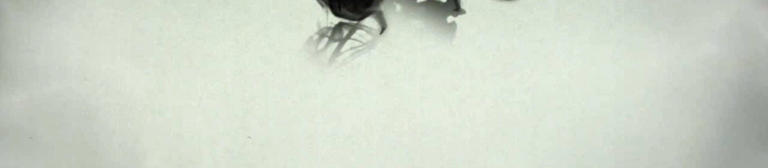 余光中的语言艺术成就,余光中的艺术