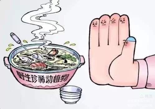 汇爱幼稚园五龙新城怎么样,郑州汇爱幼稚园五龙新城校区