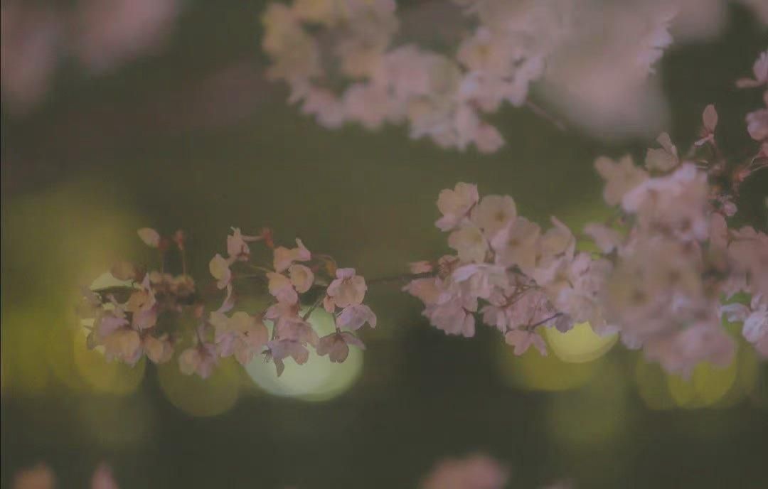 古今中外经典古诗词,经典的必背古诗词名句