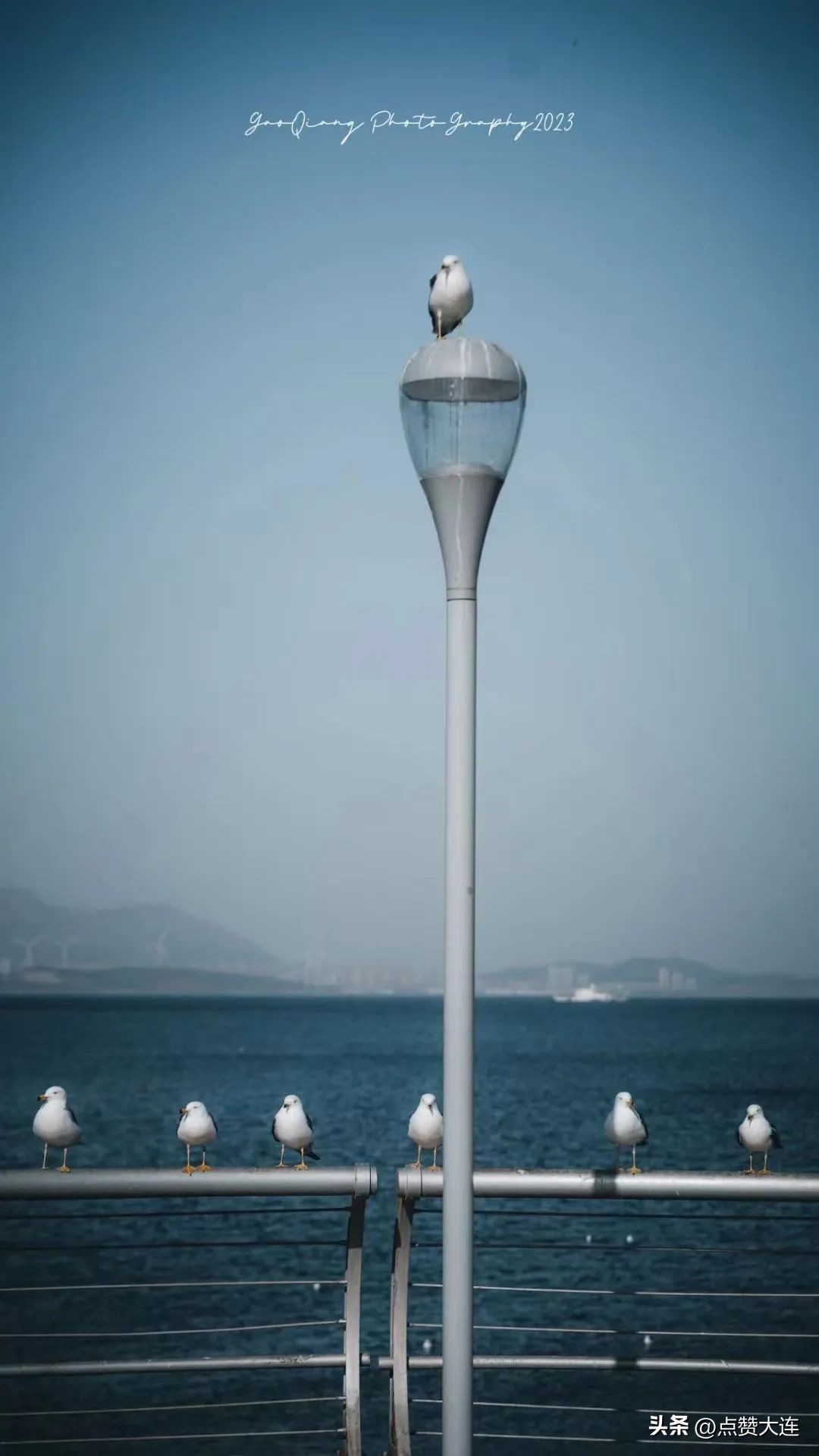 大夏天的，不来大连你去哪儿？