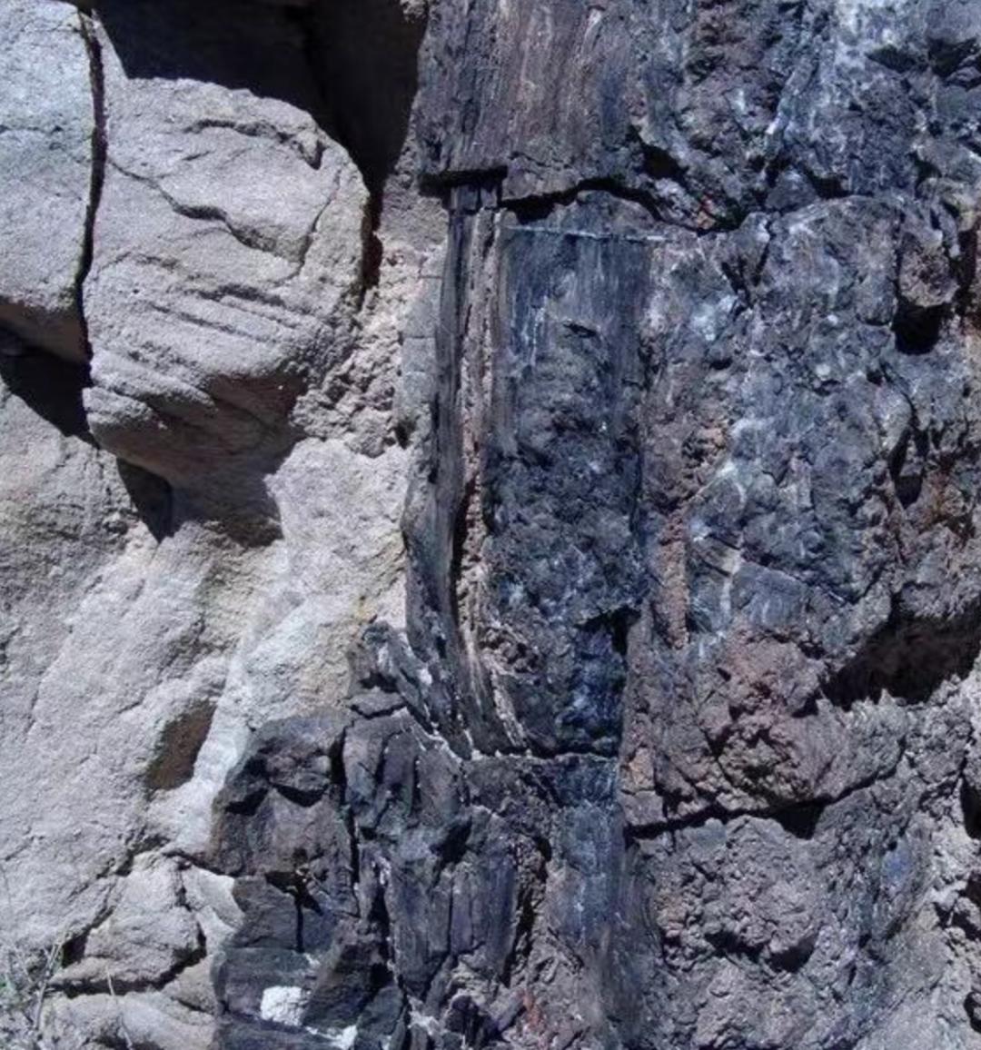 你车里的油和它们有关！探秘石化版“三星堆”宝藏