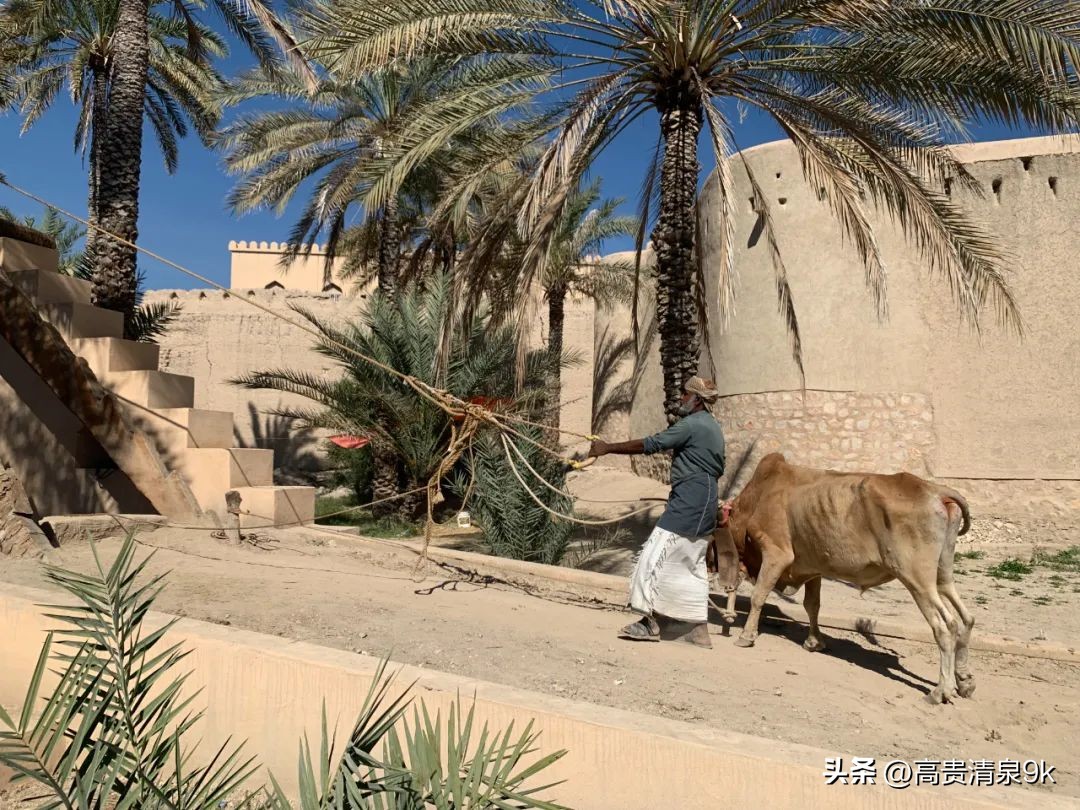 旅行盘点全球最奢侈最冒险的旅行,自驾环游世界最穷的国家