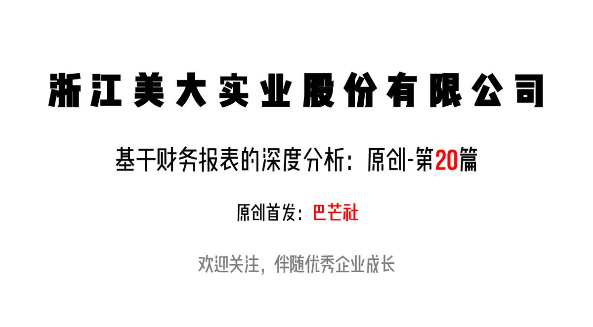浙江美大未来前景,浙江美大近三年股票分析报告