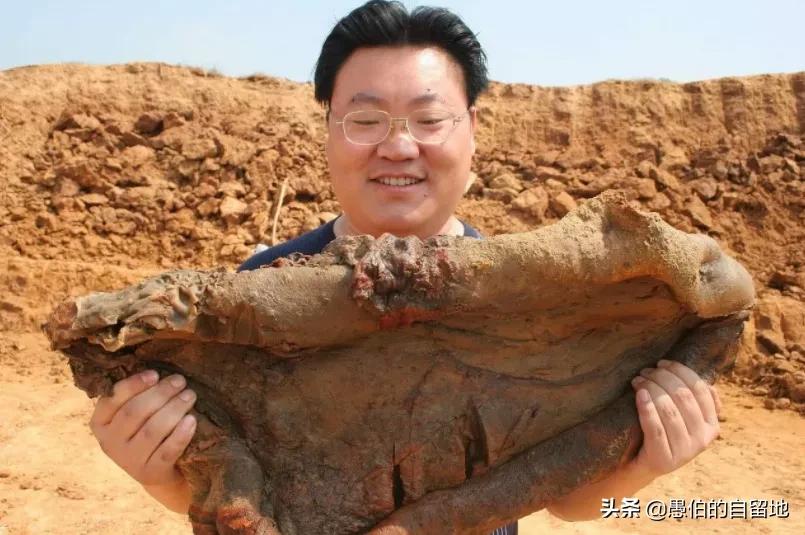 东北深山发现的怪物,真实洞穴里发现的怪物