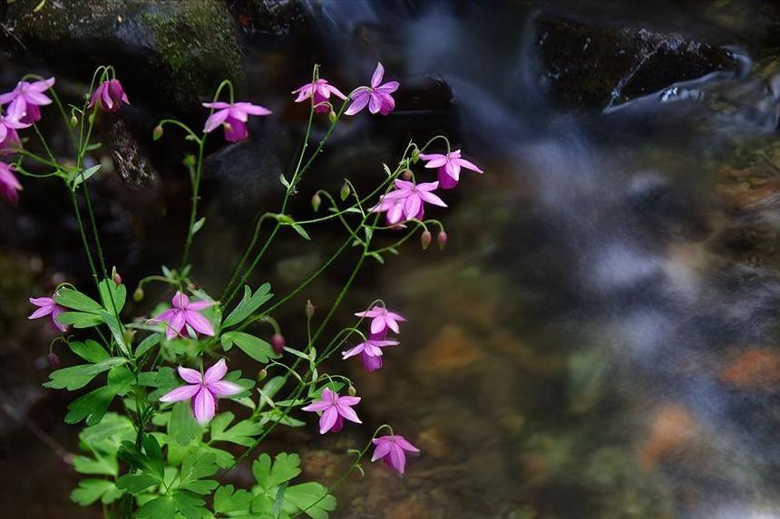 浮躁的时代读书怎么样,浮躁的年代诗歌