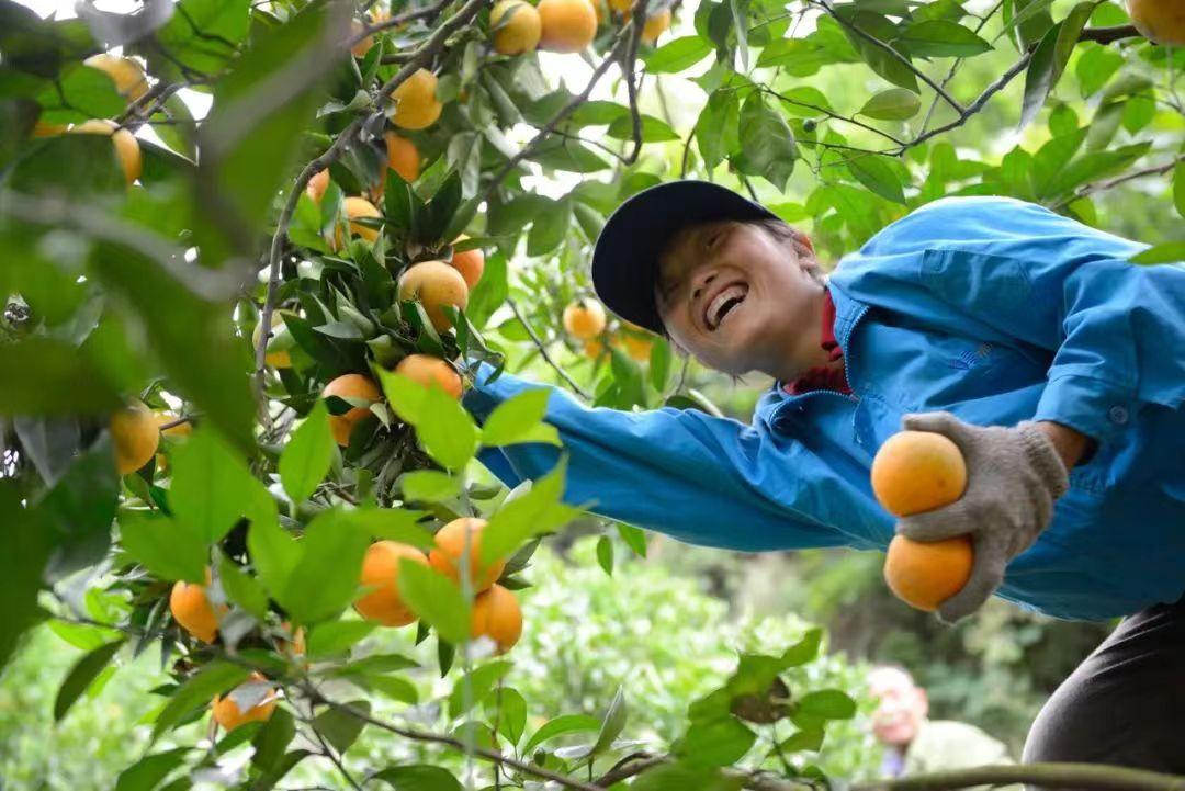 6月1日起湖北电价会调整吗,6月1日起河南省电价调整