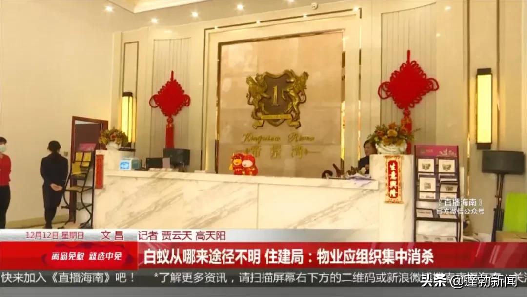 大量白蚁在家中筑巢啃噬家具，令人头皮发麻！如何防范看这里→