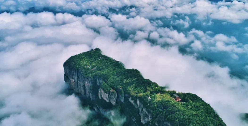 好诗凭快意，一念起惊鸿——梧桐院诗词第七期（五绝：诗事）