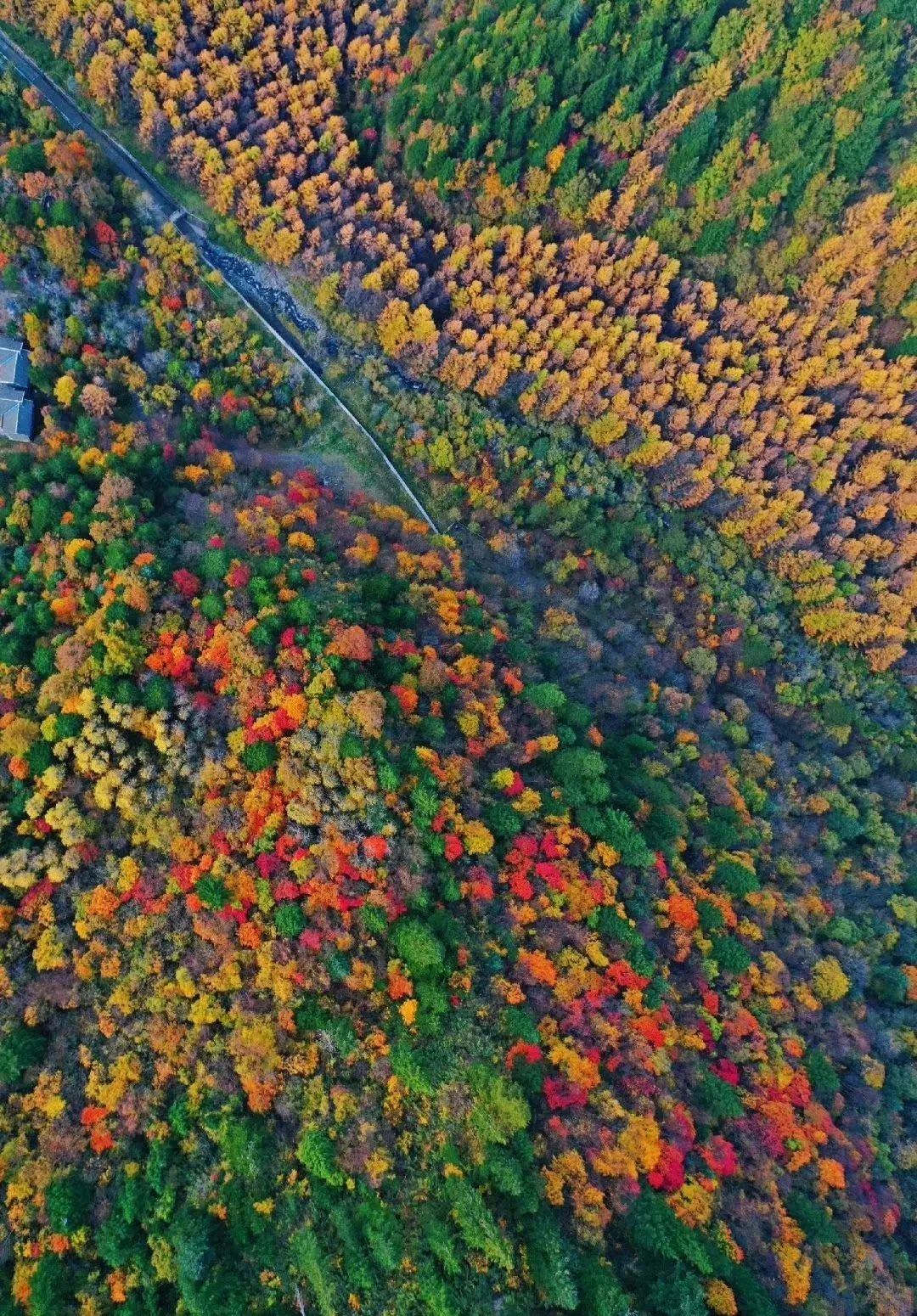 川西阿坝旅游详细攻略地图,川西阿坝旅游攻略三天