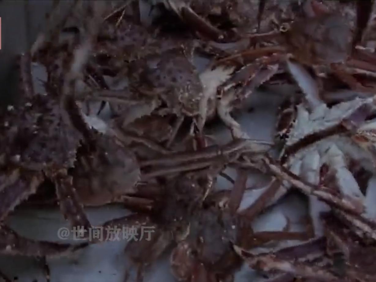 出海捕蟹人工资多少,出海捕鱼捞海鲜收入多少钱