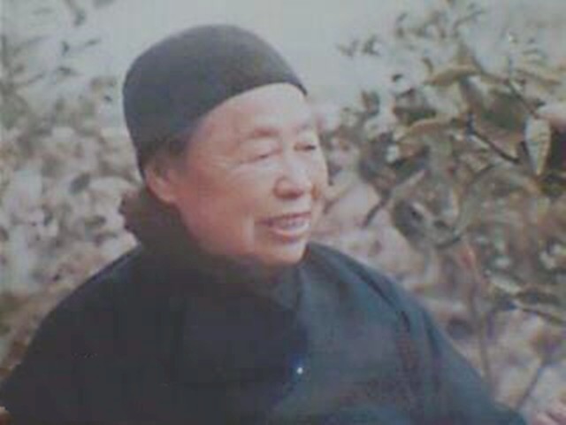 1934年长征前，陈毅找到*德朱**：我还要指挥作战，请不要把我留下