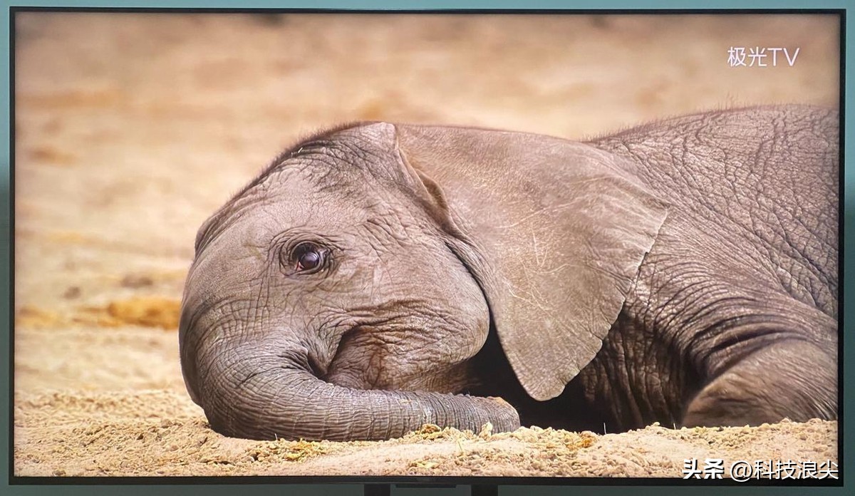 tclq10h浠嬬粛瑙嗛,tclq10g瑙傚奖鏁堟灉