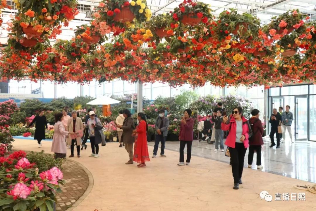 日照夜生活哪里玩,日照晚上去哪里玩