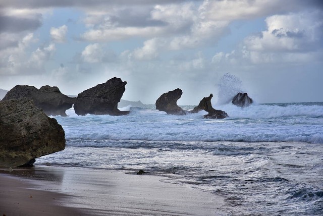 江苏亲子游必去十大景点,江苏丹阳十大旅游景点