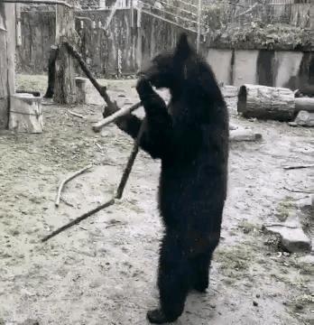 荣耀note8原装电池更换教程,荣耀note8更换电池