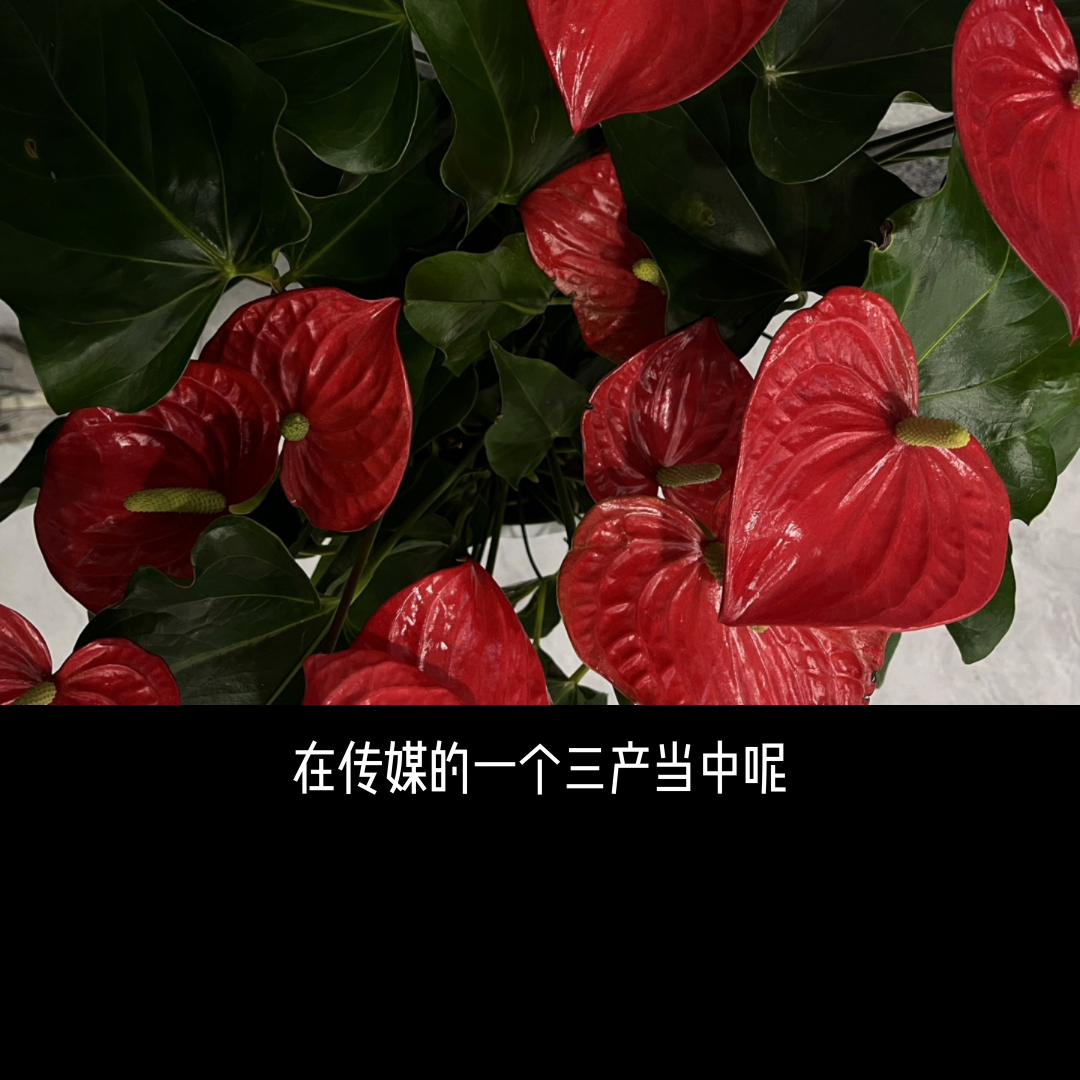 80后（不限于这代人）。出路在哪里？其实保持纵横的动态...