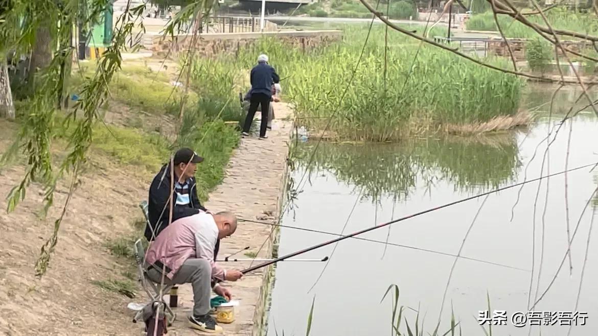 天津东丽湖旅游攻略路线,东丽湖附近野钓位置