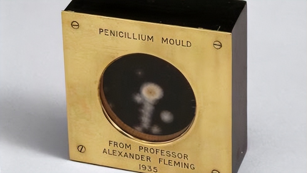 神医在世，亚历山大·弗莱明创造出神奇药，拯救了上万人的性命