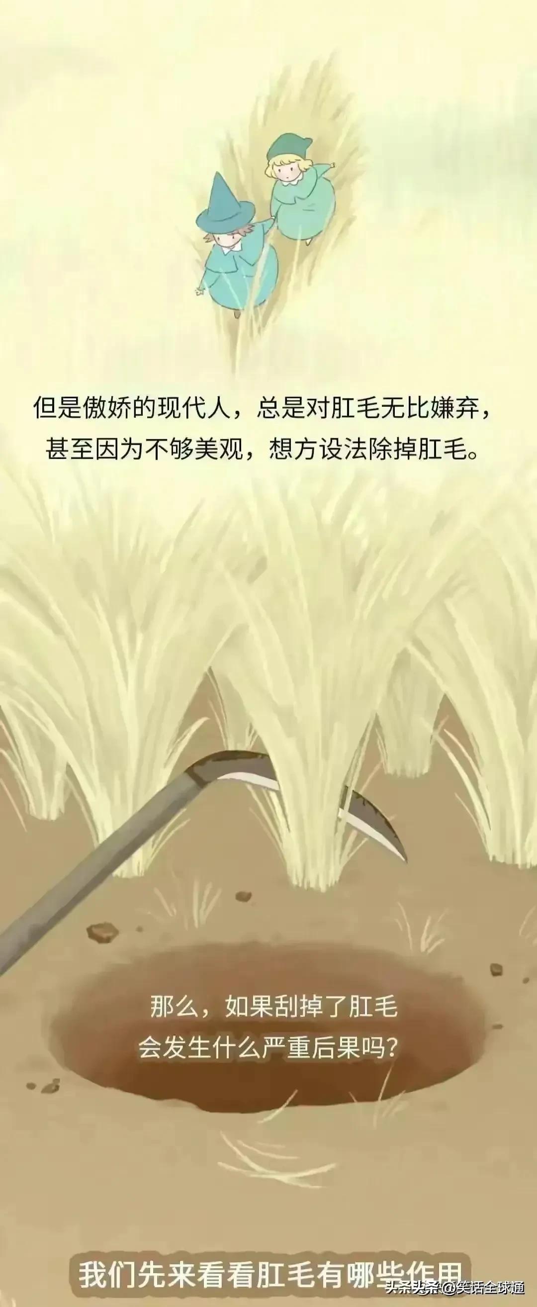 菊花毛、*处私**的毛能随便剃吗？有危害吗？