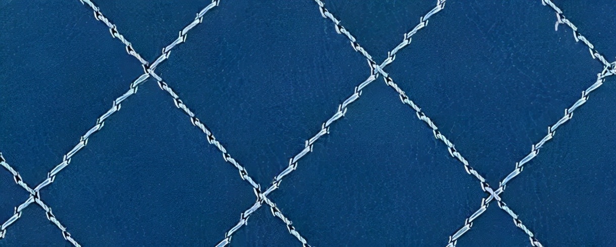 香奈儿鱼子酱的大球皮是什么皮质,香奈儿cf小号皮质是硬的还是软的