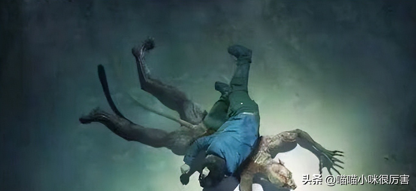 2022公认十部最好看剧排名,2022年十部好剧排名