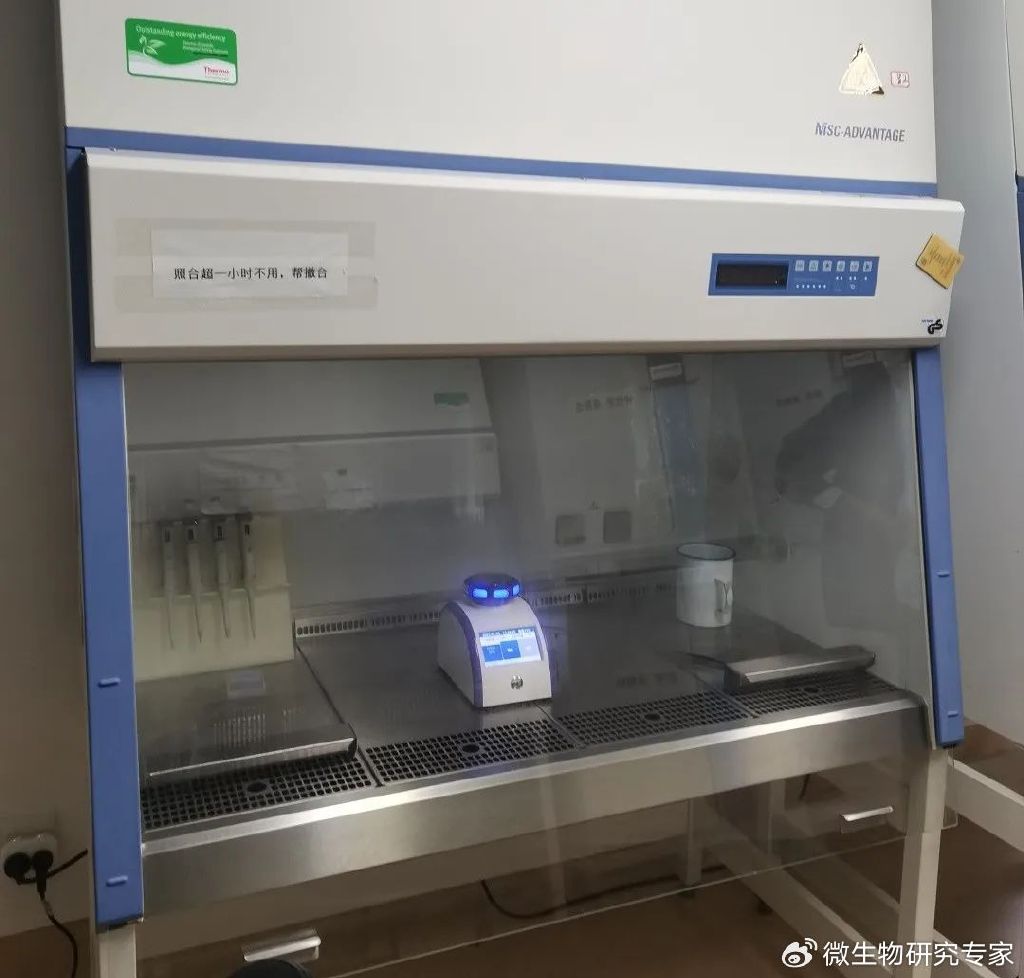 spf实验动物中心优势,spf实验小鼠