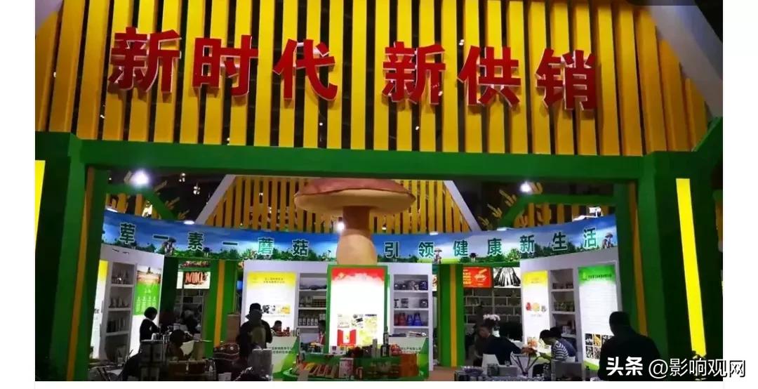 供销社农村振兴政策,供销社在农村存在的意义