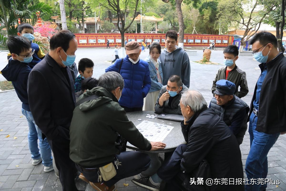 东莞人民公园真美,东莞人民公园故地重游