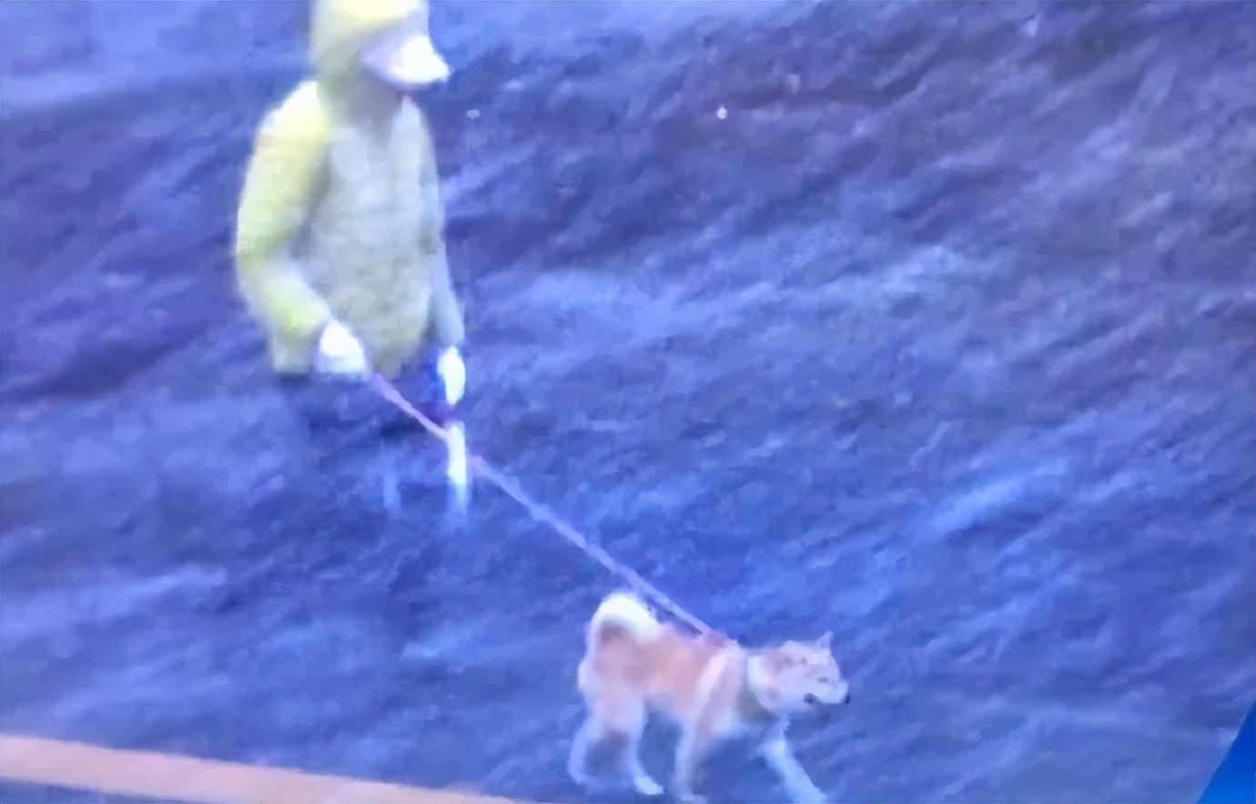 谐音梗搞笑段子全部,谐音梗搞笑的段子