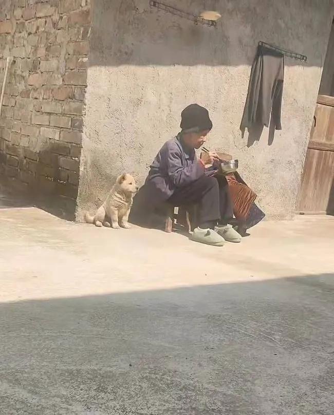 农村骗子越来越多请注意防范,农村常见诈骗揭秘