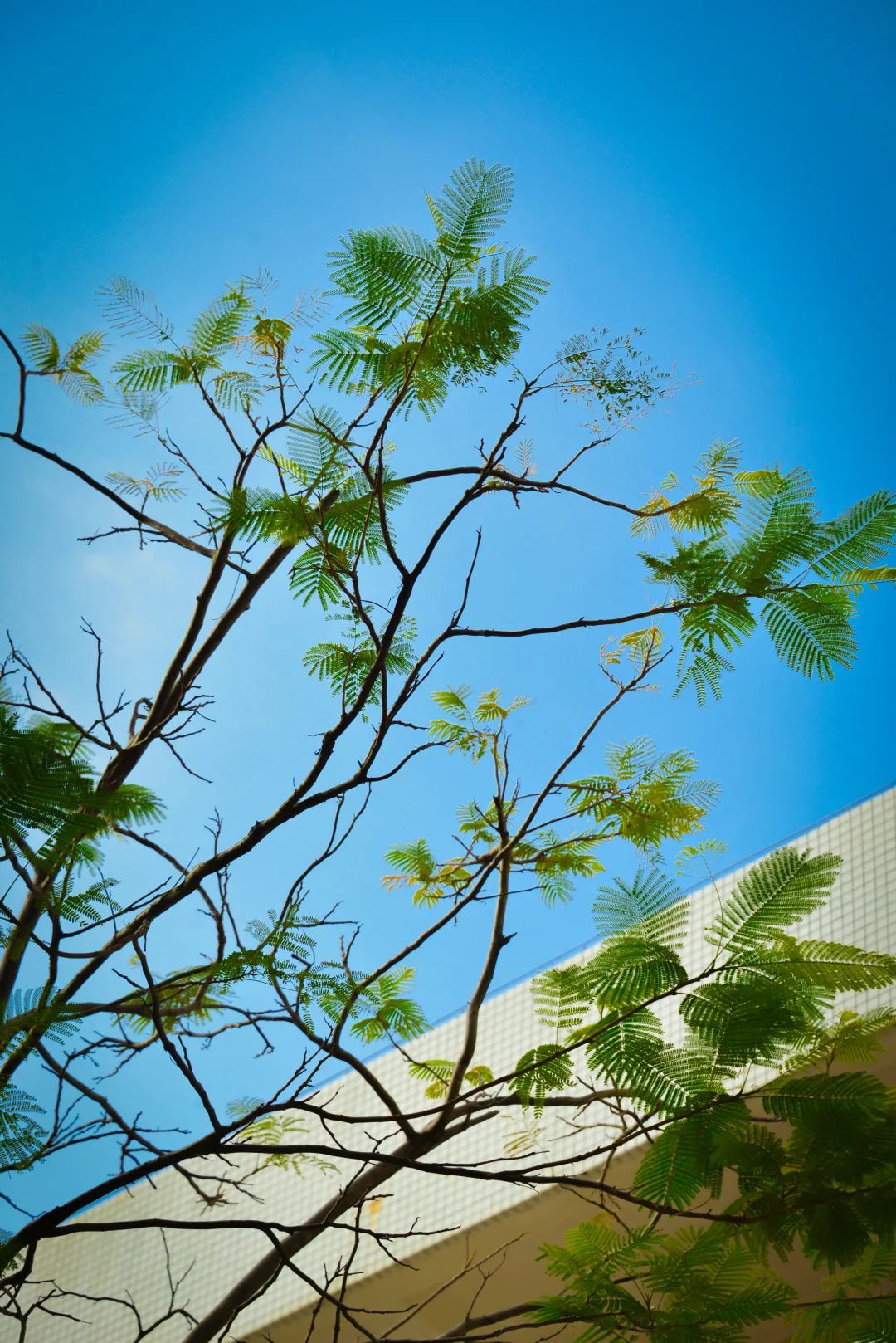 深圳市携创高级技工学校学费2021,深圳携创高级技工学校校区