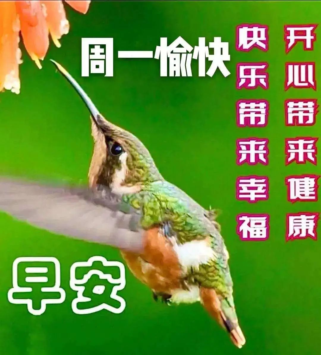 最新星期天早上好祝福动态表情图,周三早上好问候祝福动态表情图片