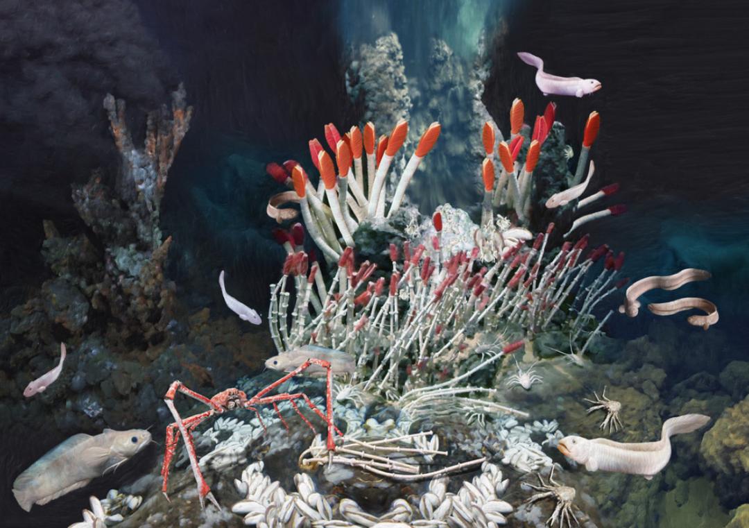 太阳系中只有水球的星球,太阳系中存在液体的星球