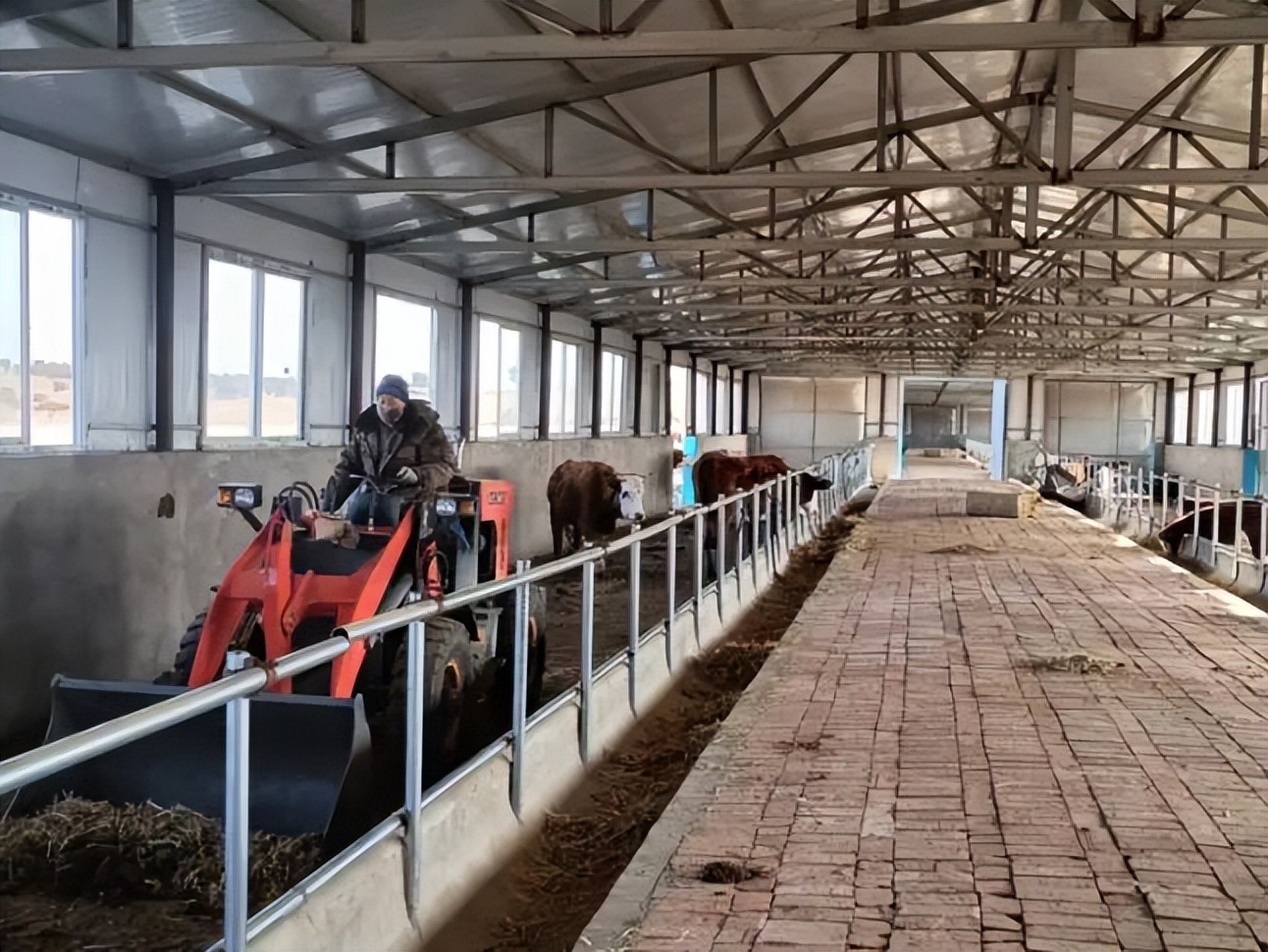 库伦旗养殖新政策,库伦旗养殖致富