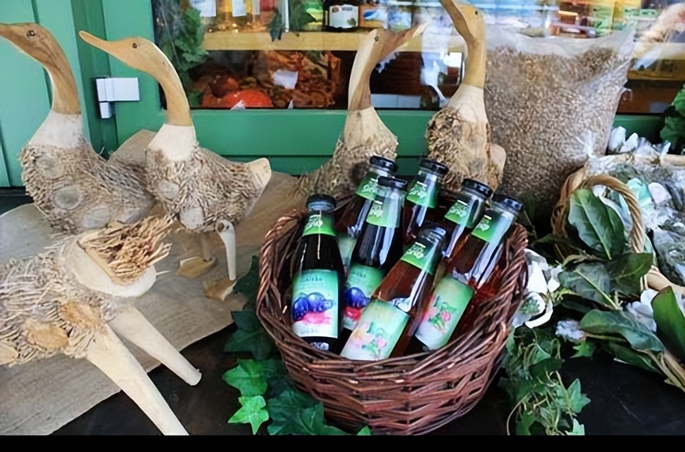 华人看到中国富裕感受,德国的华人真实感受