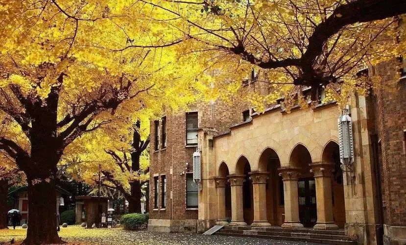 涓滀含澶у鐣欏鎶ュ悕鏉′欢,涓滀含澶у纭曞＋鐢宠鏉′欢