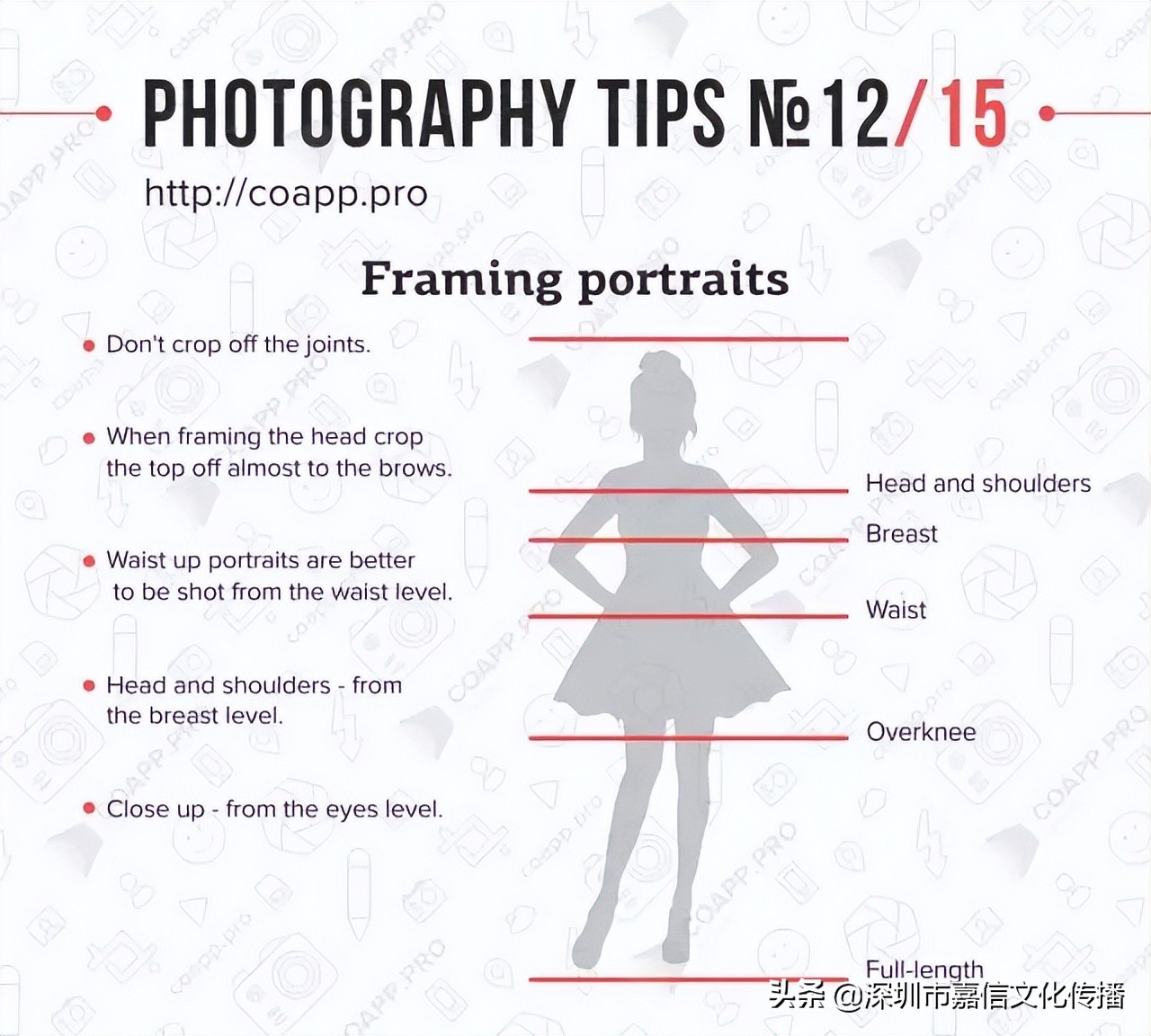 摄影的基础知识题目,摄影的基础是什么