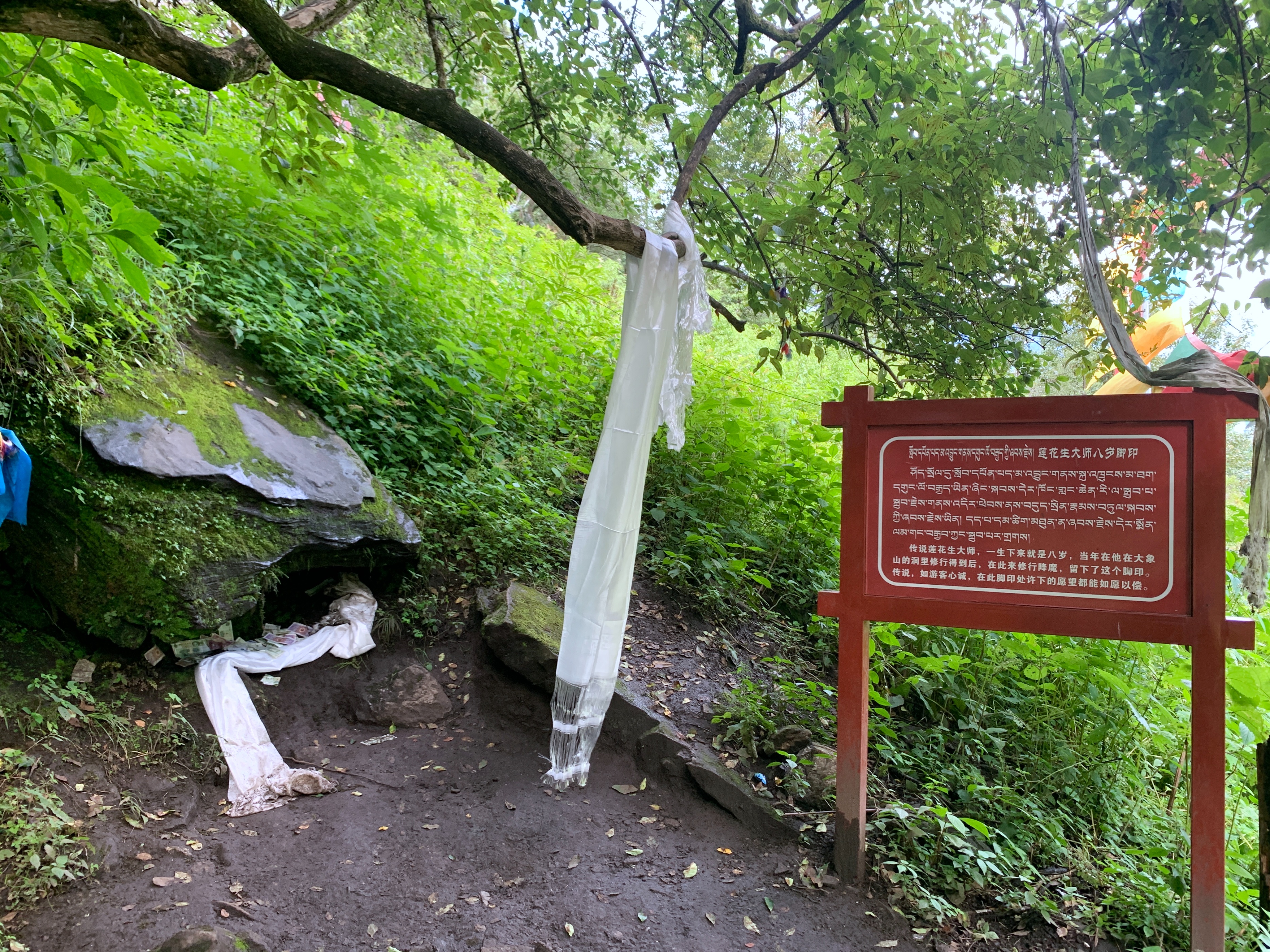 云南最高海拔的茶叶,海拔最高的茶叶产地在哪里