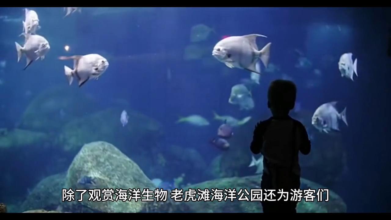 大连老虎滩海洋公园地图,辽宁大连老虎滩海洋公园