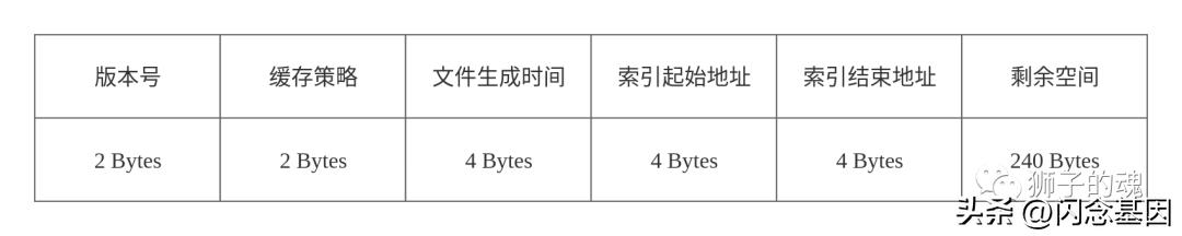 ip2region2使用教程,ipv2地址是多少位二进制