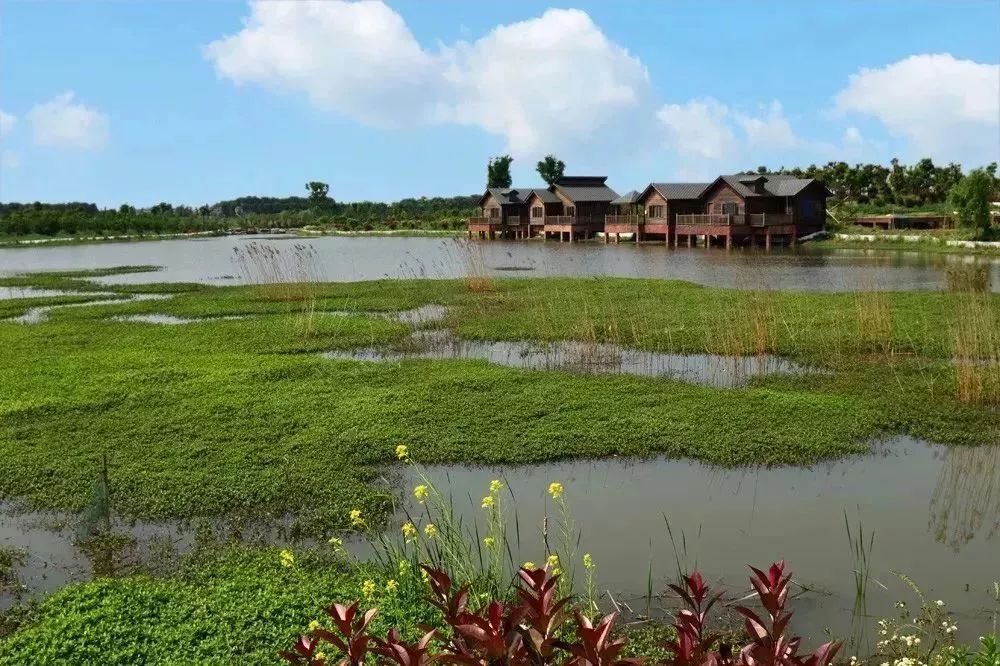 来江苏省丹阳市你愿意吗,好想来丹阳