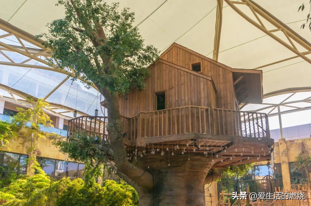 杭州森泊开元度假酒店不含门票,杭州开元森泊度假酒店存在的问题