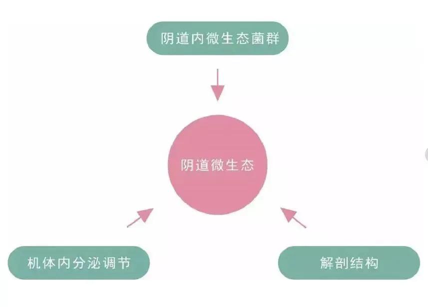 央视315黑名单卫生巾,薇尔卫生巾上了315黑名单吗